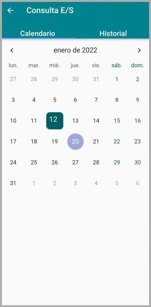 Pantalla consulta calendario - V2