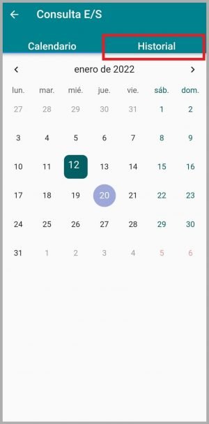 Pantalla consulta calendario - V3